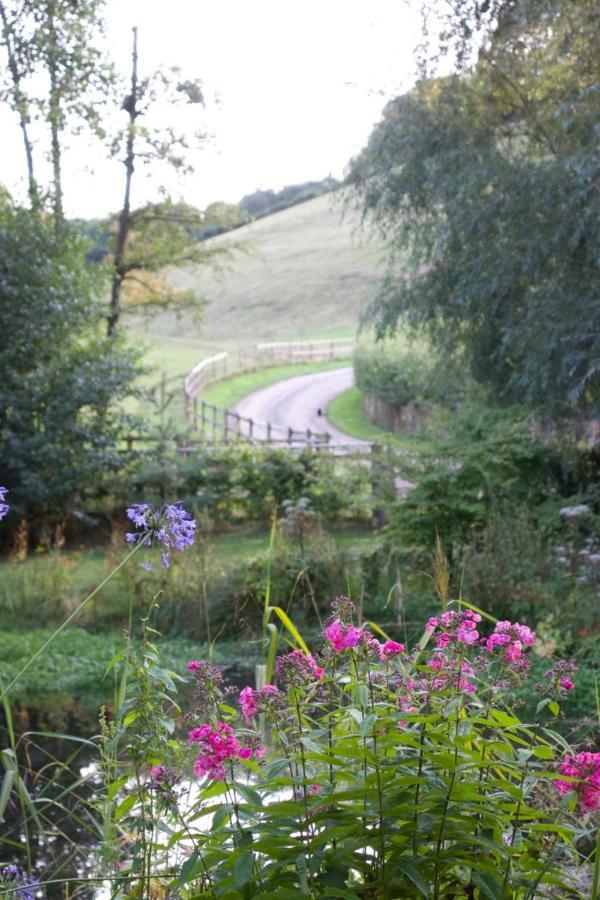 Bagnell Farm Cottage Chiselborough Esterno foto