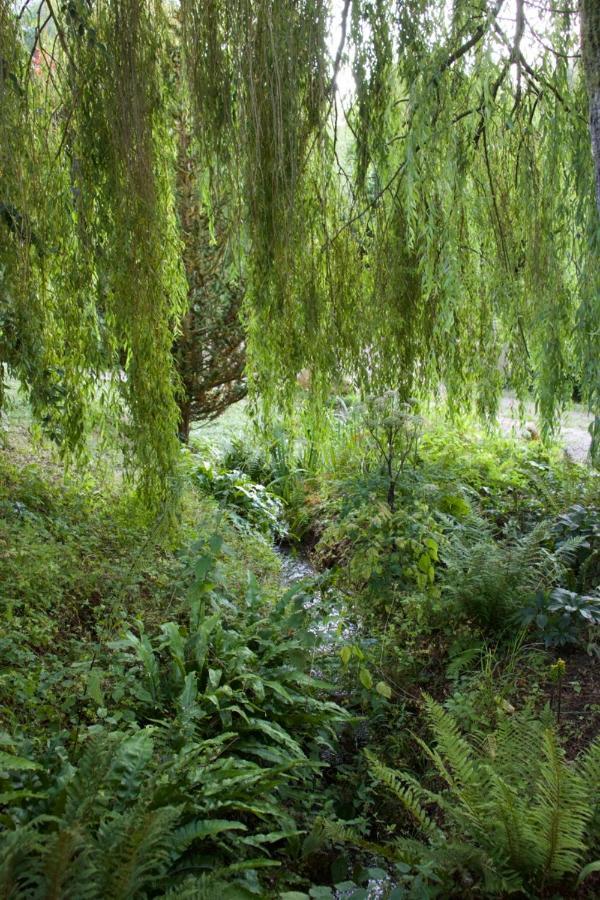 Bagnell Farm Cottage Chiselborough Esterno foto